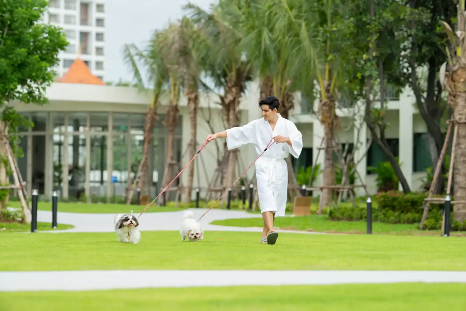 Luxurious Hua Hin hotel guest enjoying outdoor walk with two small dogs on lush green lawn under palm trees at Aviyana Hua Hin Hotel.