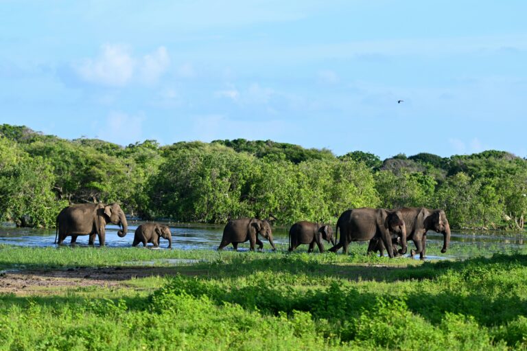 kui buri national park