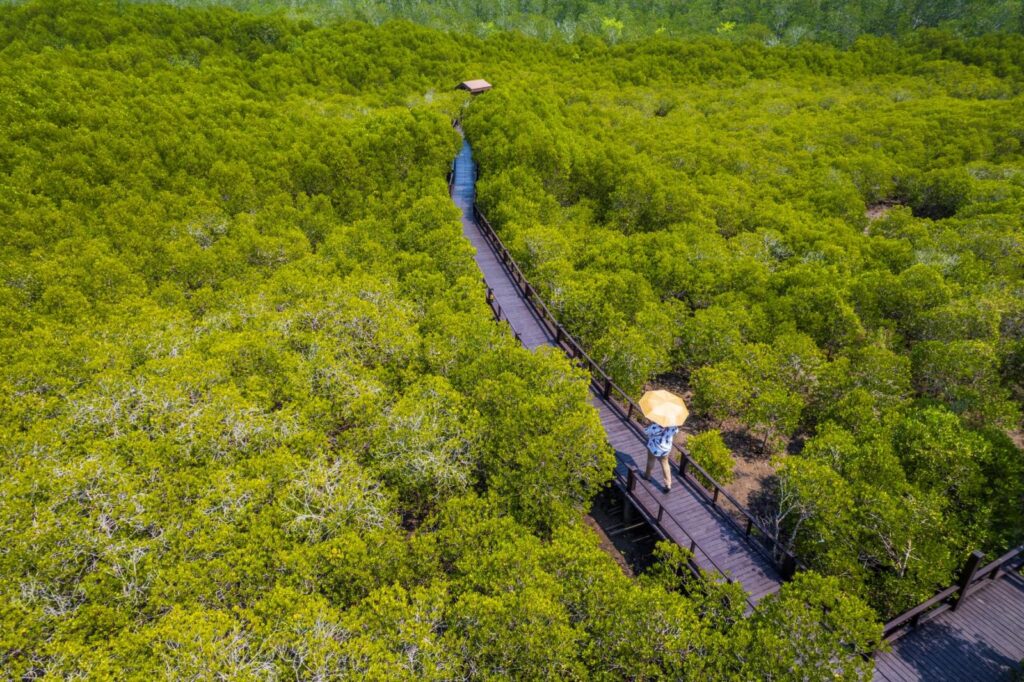 Prachuap Khiri Khan Pran Buri Forest Park